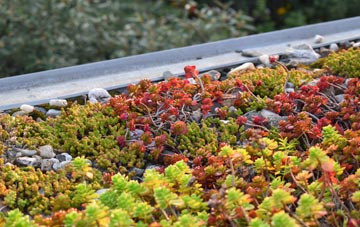 the cost of Carmichael green roof installation