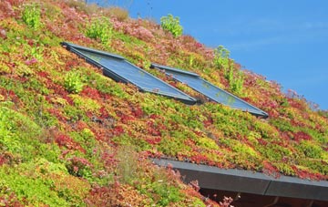 Carmichael living roof systems