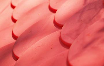 Carmichael plastic roof costs