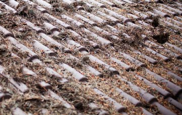 Carmichael roof cleaning companies