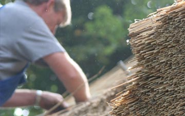 professional Carmichael thatchers