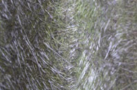 Carmichael fibreglass roof work